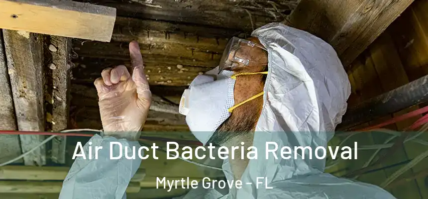 Air Duct Bacteria Removal Myrtle Grove - FL