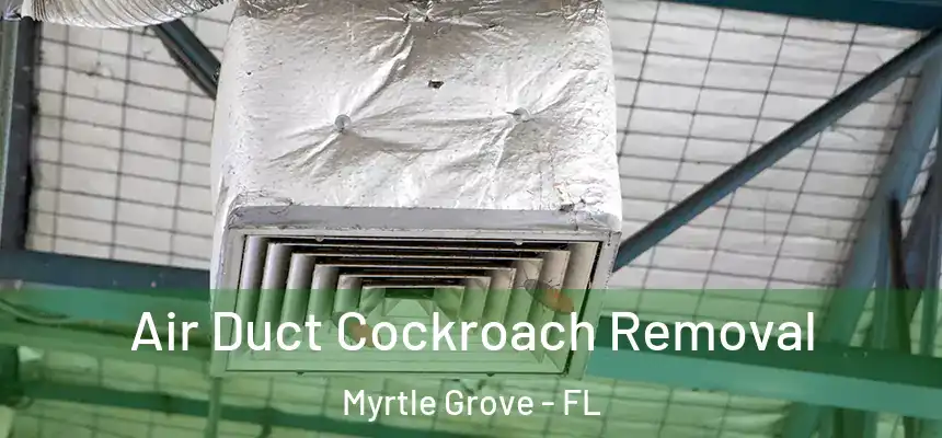 Air Duct Cockroach Removal Myrtle Grove - FL