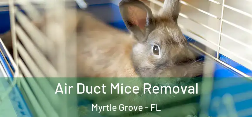 Air Duct Mice Removal Myrtle Grove - FL