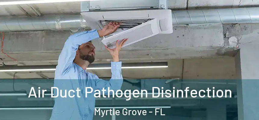  Air Duct Pathogen Disinfection Myrtle Grove - FL