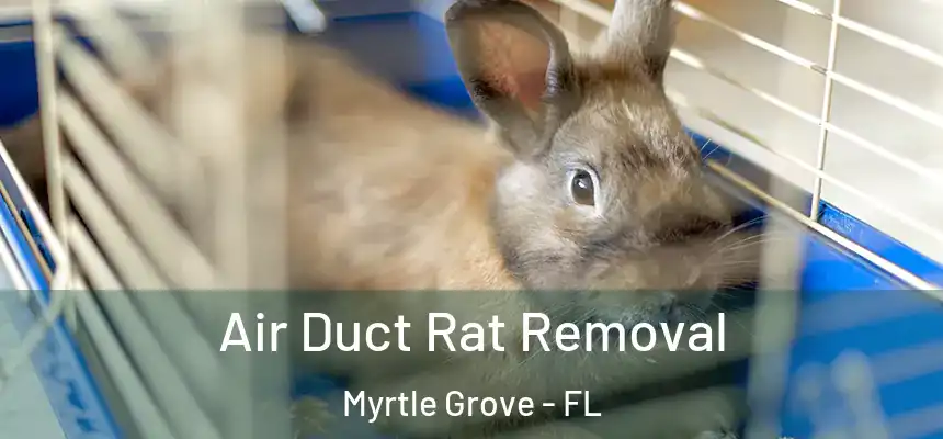 Air Duct Rat Removal Myrtle Grove - FL