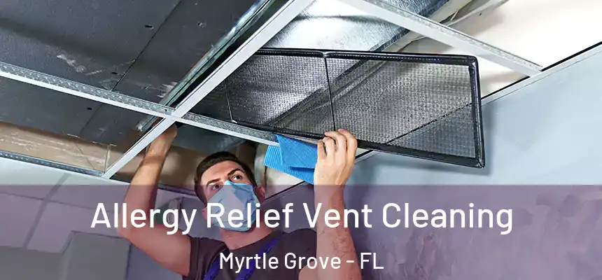 Allergy Relief Vent Cleaning Myrtle Grove - FL