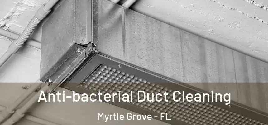 Anti-bacterial Duct Cleaning Myrtle Grove - FL
