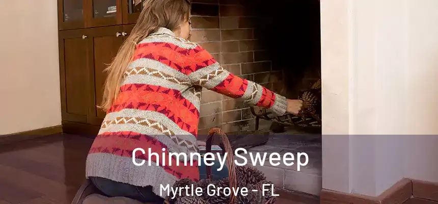 Chimney Sweep Myrtle Grove - FL