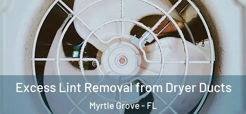 Excess Lint Removal from Dryer Ducts Myrtle Grove - FL
