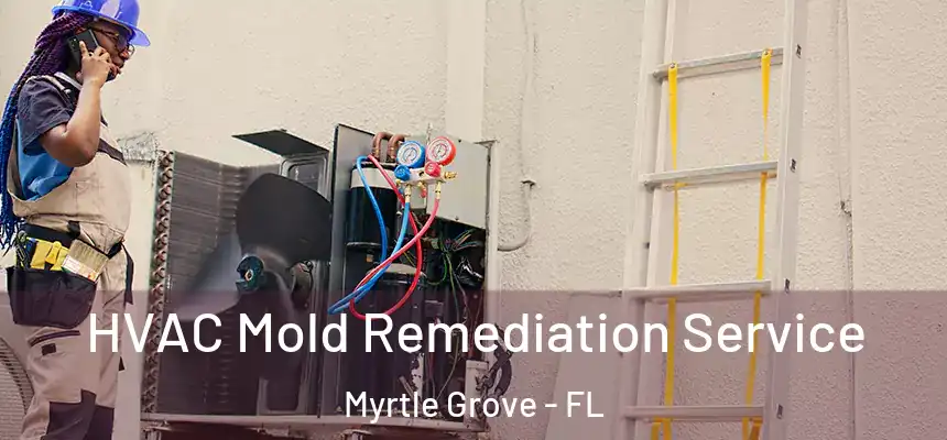 HVAC Mold Remediation Service Myrtle Grove - FL