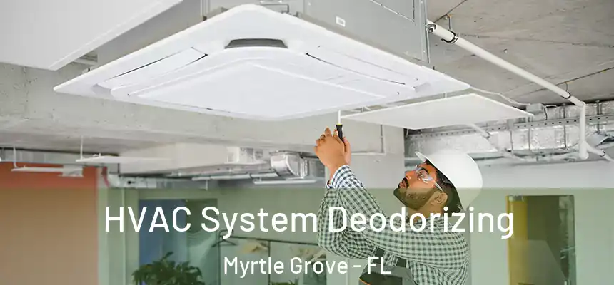 HVAC System Deodorizing Myrtle Grove - FL