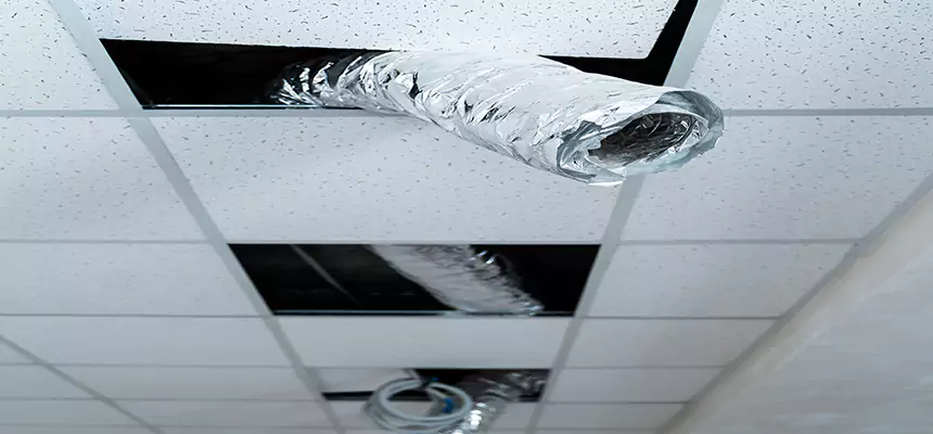 Affordable HVAC Sanitizing After Pest Removal in Myrtle Grove