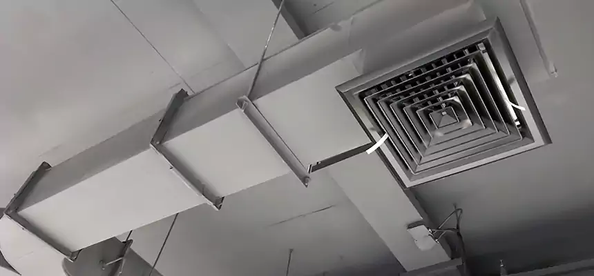 Restorative Allergy Relief Vent Cleaning – Coil, Blower & Housing Detail in Myrtle Grove