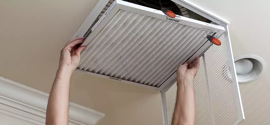 Our Insect Removal from Air Ducts Services in Myrtle Grove, FL