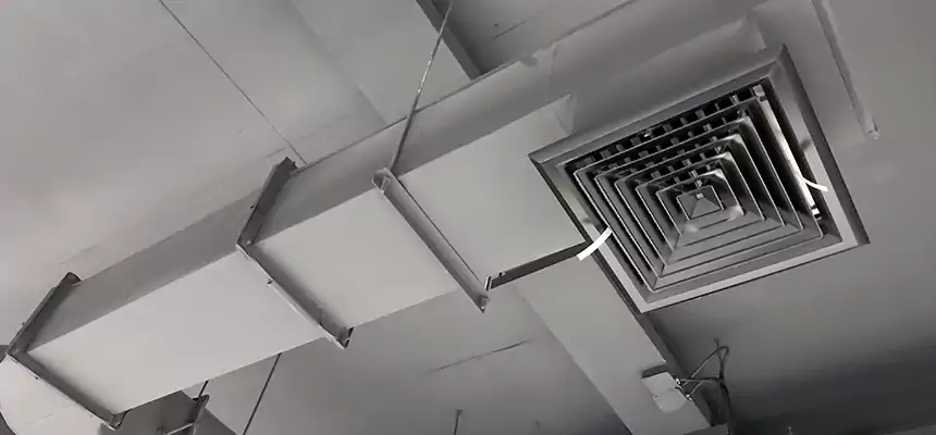 Our Pest Removal From Ducts Services in Myrtle Grove, FL