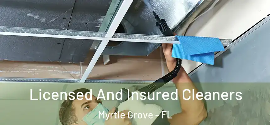 Licensed And Insured Cleaners Myrtle Grove - FL