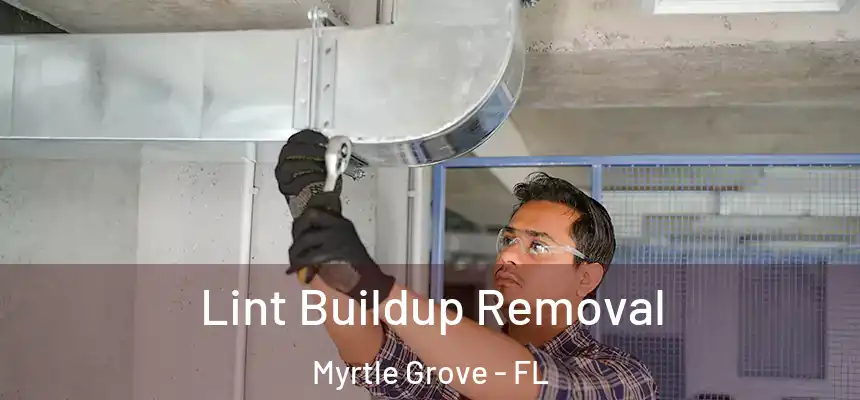 Lint Buildup Removal Myrtle Grove - FL