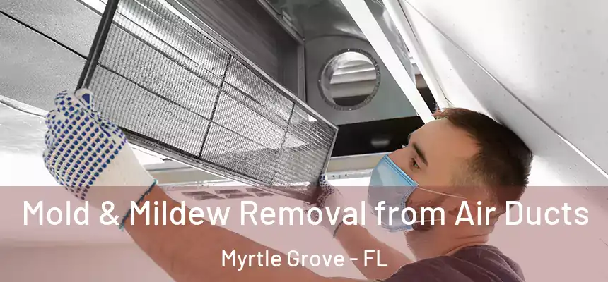  Mold & Mildew Removal from Air Ducts Myrtle Grove - FL
