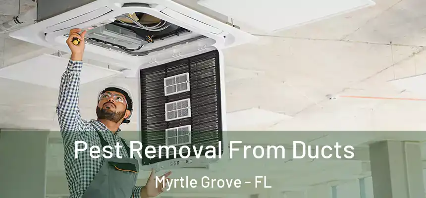 Pest Removal From Ducts Myrtle Grove - FL