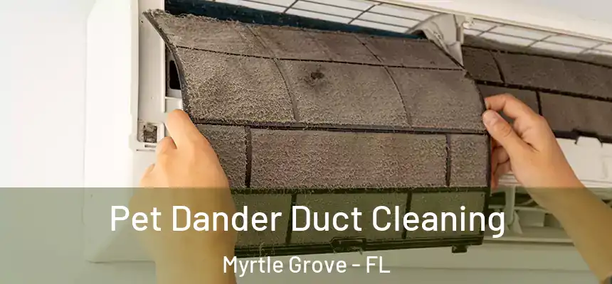 Pet Dander Duct Cleaning Myrtle Grove - FL