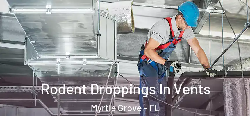 Rodent Droppings In Vents Myrtle Grove - FL
