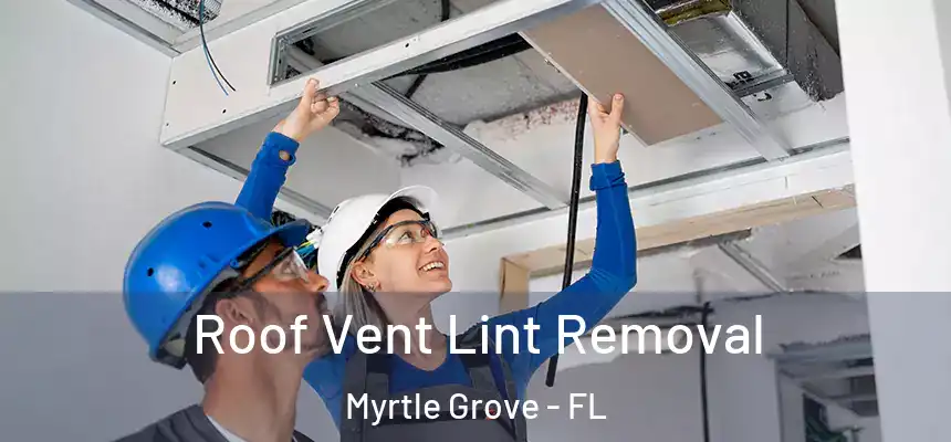 Roof Vent Lint Removal Myrtle Grove - FL