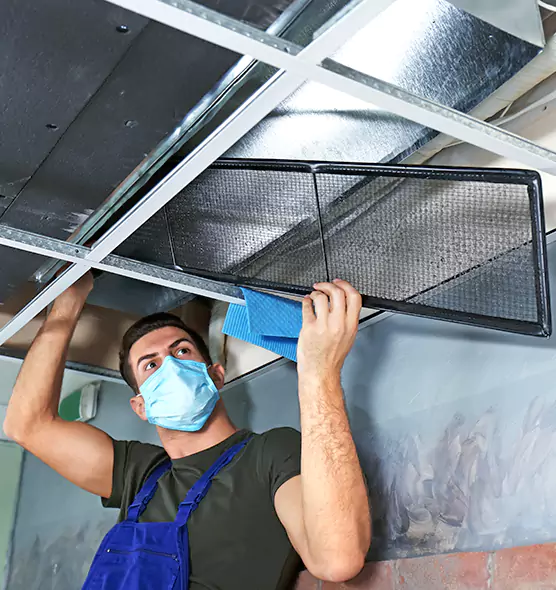 About Air Duct Bacteria Removal in Myrtle Grove