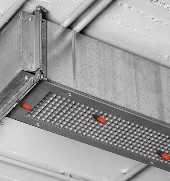 About Air Duct Cockroach Removal in Myrtle Grove, FL