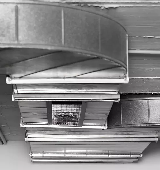 Professional Air Duct Pest Removal in Myrtle Grove, FL