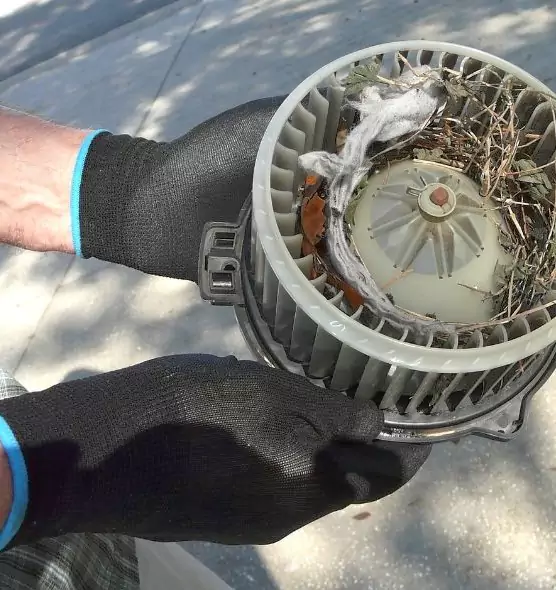 About Air Duct Rat Removal in Myrtle Grove, FL