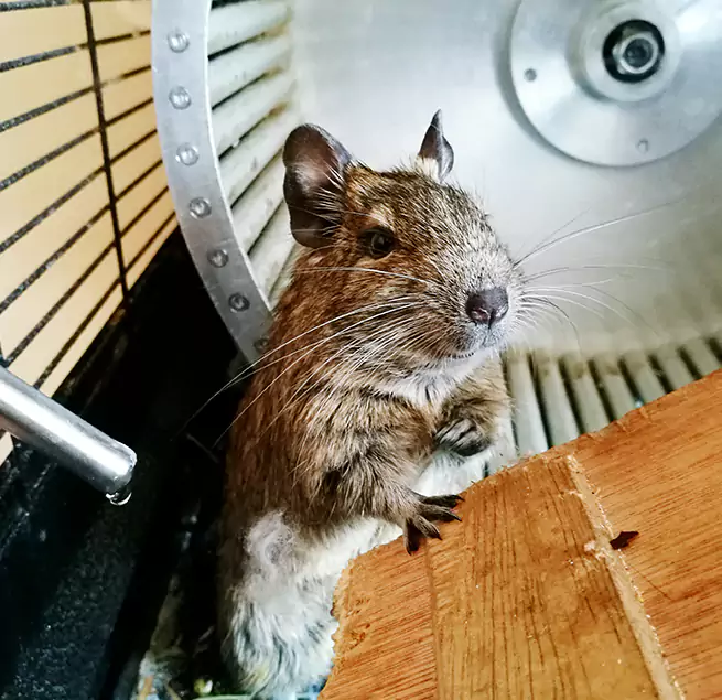 Why Homeowners & Businesses Trust Us Myrtle Grove, FL