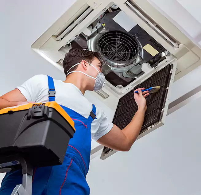 Why Homeowners & Businesses Trust Us in Myrtle Grove, FL