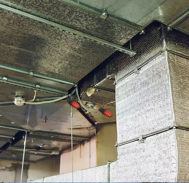 Why Homeowners & Businesses Trust Us Myrtle Grove, FL?