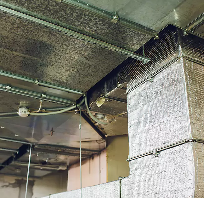 Why Homeowners & Businesses Trust Us in Myrtle Grove, FL?