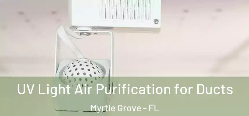  UV Light Air Purification for Ducts Myrtle Grove - FL